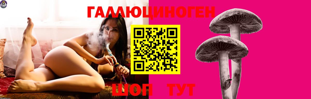 Галлюциногенные грибы прущие грибы Астрахань